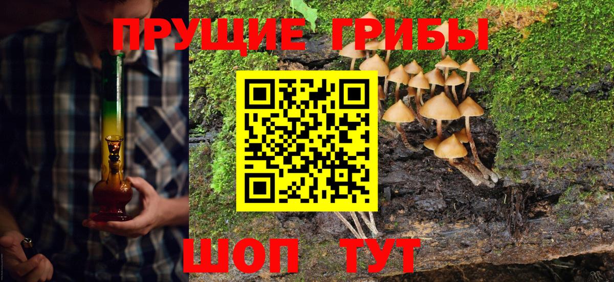 Алапаевск  Псилоцибиновые грибы мухоморы  Галлюциногенные грибы Psilocybe  Вход с VPN 